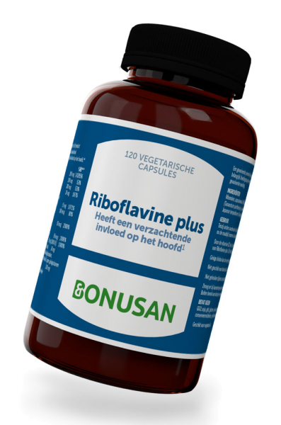 Riboflavin Plus - 120 Kapseln mit Mutterkraut und Ginkgo